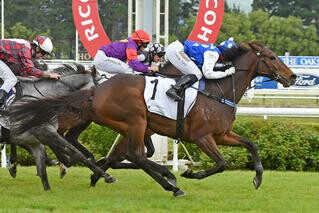 Pump Up The Volume (NZ) claims Fielding Gold Cup. Photo: Race Images Palmerston North.